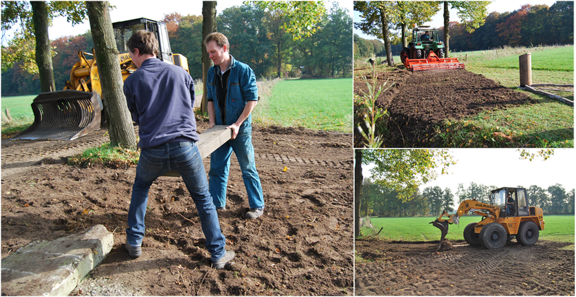 De levensboom
