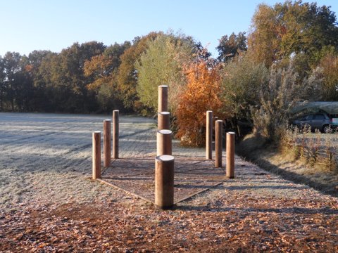 De levensboom