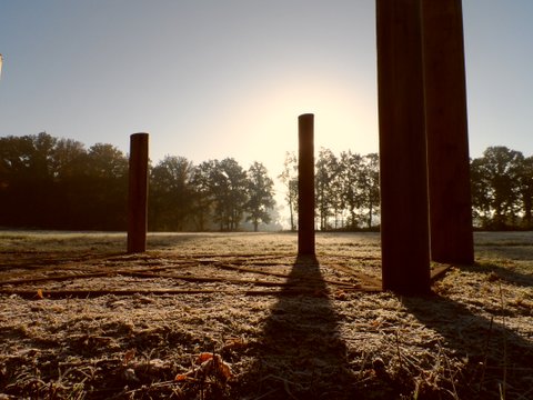 De levensboom