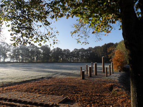 De levensboom